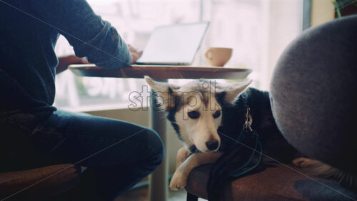 26ian66.mov - Starpik Stock