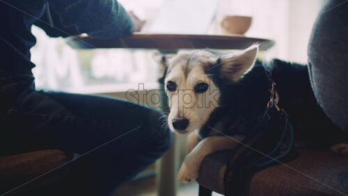 26ian67.mov - Starpik Stock