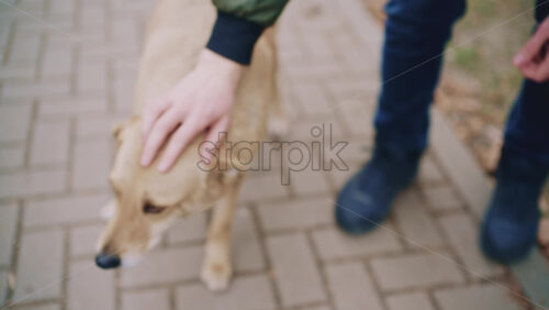 26ian71.mov - Starpik Stock