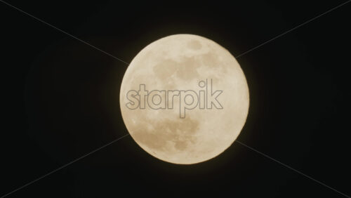 26ian80.mov - Starpik Stock