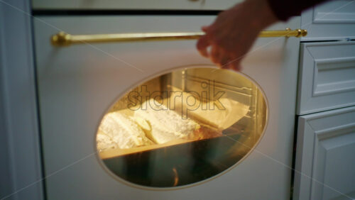 Woman placing a baking tray with parchment paper and fish into a lit oven