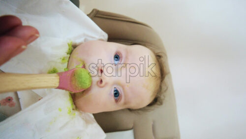 Close up of a baby eating green vegetable puree from a spoon while sitting in a high chair. Vertical