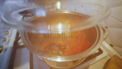 Top view of vegetables and meat simmering in a stainless steel pot on a gas stove