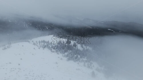 Panoramic aerial drone view of winter season with fir trees full of snow. Transylvania, Mount Ciucas in Romania