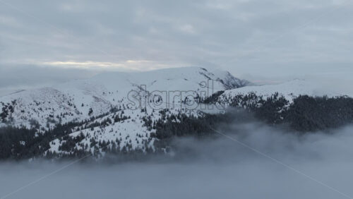 Panoramic aerial drone view of winter season with fir trees full of snow. Transylvania, Mount Ciucas in Romania