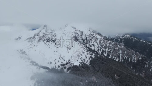 Panoramic aerial drone view of winter season with fir trees full of snow. Transylvania, Mount Ciucas in Romania