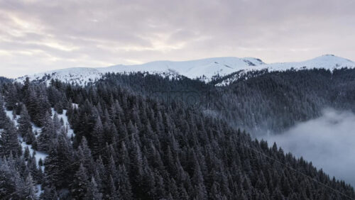 Panoramic aerial drone view of winter landscape in the mountains. Transylvania, Mount Ciucas in Romania