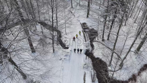 Panoramic aerial drone view of hikers walking in winter season with fir trees full of snow. Transylvania, Mount Ciucas in Romania, Carpathian mountains