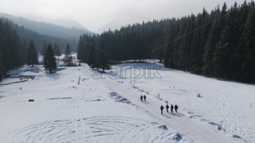 Panoramic aerial drone view of hikers walking in winter season with fir trees full of snow. Transylvania, Mount Ciucas in Romania, Carpathian mountains