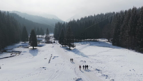 Panoramic aerial drone view of hikers walking in winter season with fir trees full of snow. Transylvania, Mount Ciucas in Romania, Carpathian mountains
