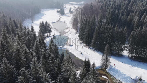 Panoramic aerial drone view of winter season with fir trees full of snow. Transylvania, Mount Ciucas in Romania, Carpathian mountains