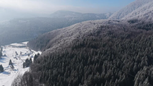 Panoramic aerial drone view of winter season with fir trees full of snow. Transylvania, Mount Ciucas in Romania, Carpathian mountains