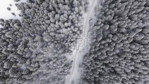 Panoramic aerial drone view of winter landscape in the mountains. Transylvania, Mount Ciucas in Romania - Starpik Stock