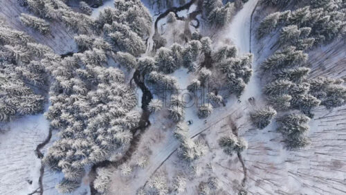 Panoramic aerial drone view of winter season with fir trees full of snow. Transylvania, Mount Ciucas in Romania, Carpathian mountains - Starpik Stock