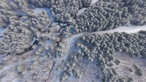 Panoramic aerial drone view of winter season with fir trees full of snow. Transylvania, Mount Ciucas in Romania, Carpathian mountains - Starpik Stock
