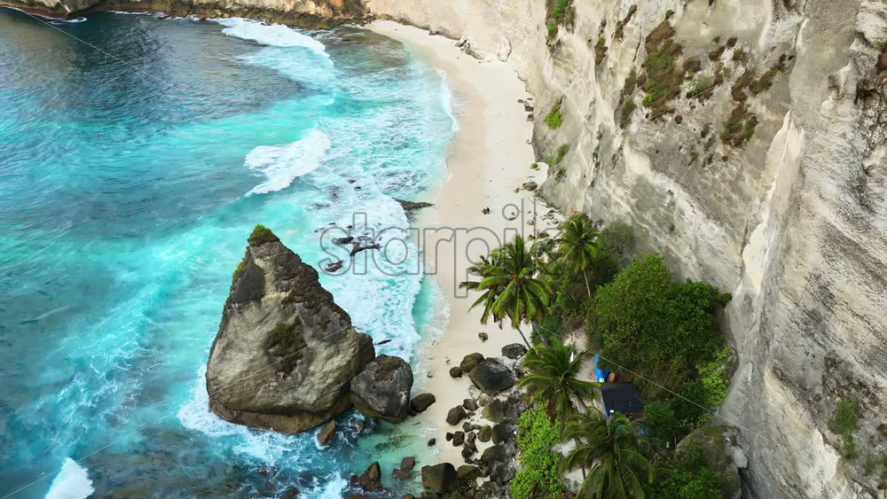 Video - Aerial drone view of Diamond Beach framed by palm trees and towering limestone cliffs in Nusa Penida, Bali. Turquoise waves crash onto the secluded white sand beach below steep cliff walls