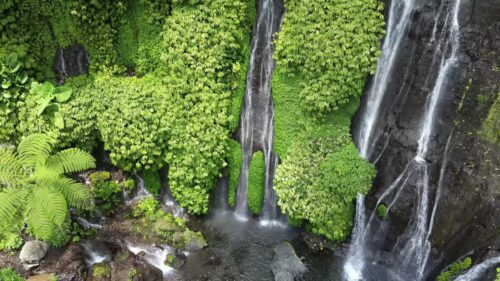Video - Aerial drone view of Banyumala Waterfall pool in Buleleng, Bali. Multiple waterfalls flow into a tranquil natural basin surrounded by vibrant green foliage and tropical forest