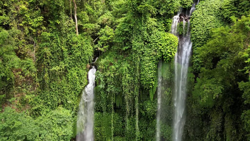 Video - Aerial drone view of twin waterfalls cascading down a steep jungle cliff at Sekumpul Waterfall, Buleleng, Bali. White water streams contrast with deep green rainforest vegetation