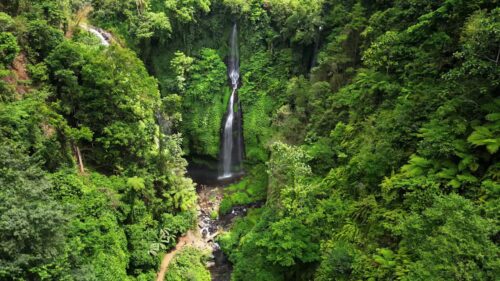 Video - Aerial drone view of twin waterfalls cascading down a steep jungle cliff at Sekumpul Waterfall, Buleleng, Bali. White water streams contrast with deep green rainforest vegetation