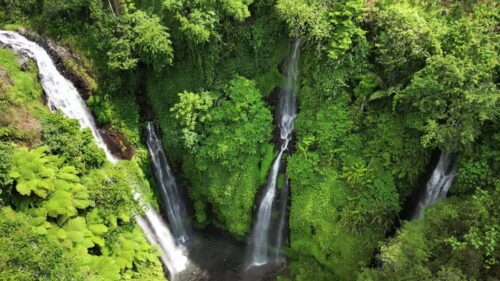 Video - Aerial drone view of twin waterfalls cascading down a steep jungle cliff at Sekumpul Waterfall, Buleleng, Bali. White water streams contrast with deep green rainforest vegetation