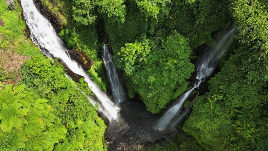Video - Aerial drone view of multiple cascades at Sekumpul Waterfall in North Bali, Indonesia. Tall white streams flow down steep rainforest cliffs covered in vibrant green vegetation