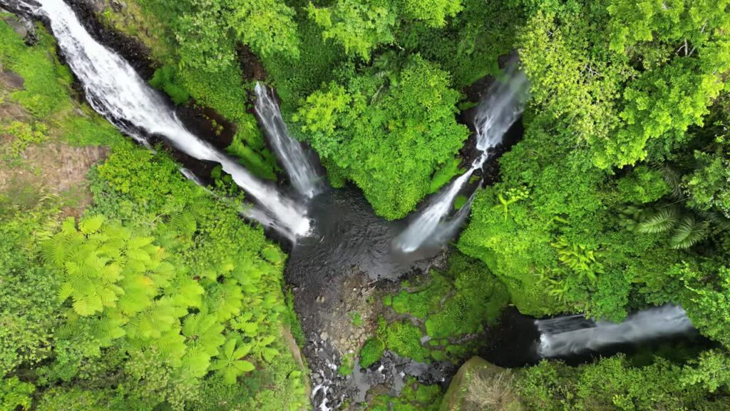Video - Aerial drone view of multiple cascades at Sekumpul Waterfall in North Bali, Indonesia. Tall white streams flow down steep rainforest cliffs covered in vibrant green vegetation