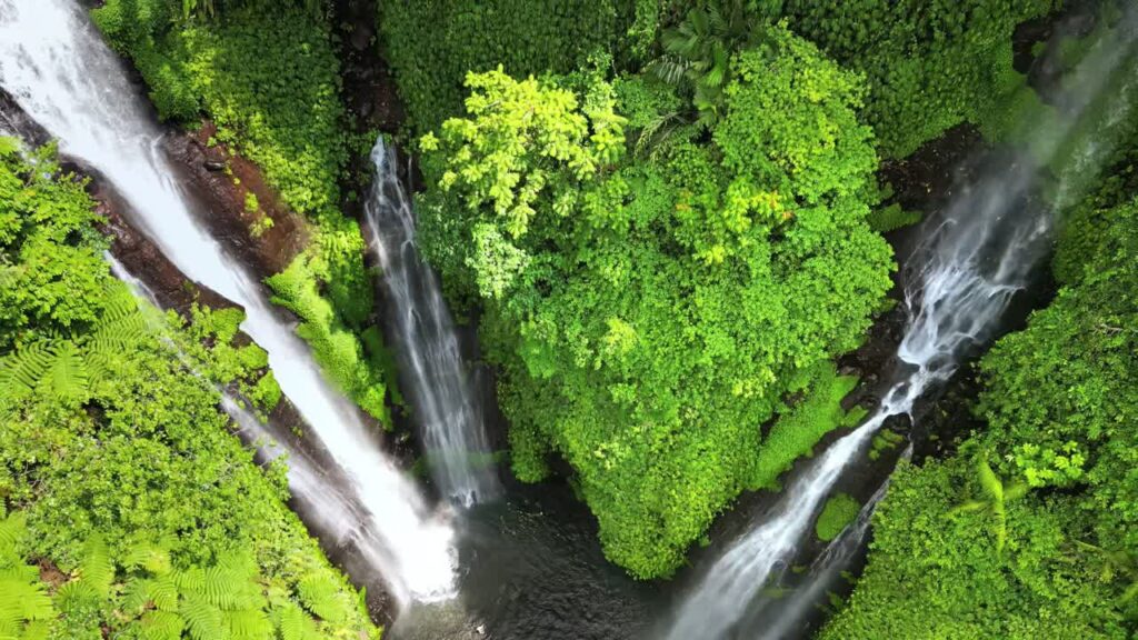 Video - Aerial drone view of multiple cascades at Sekumpul Waterfall in North Bali, Indonesia. Tall white streams flow down steep rainforest cliffs covered in vibrant green vegetation