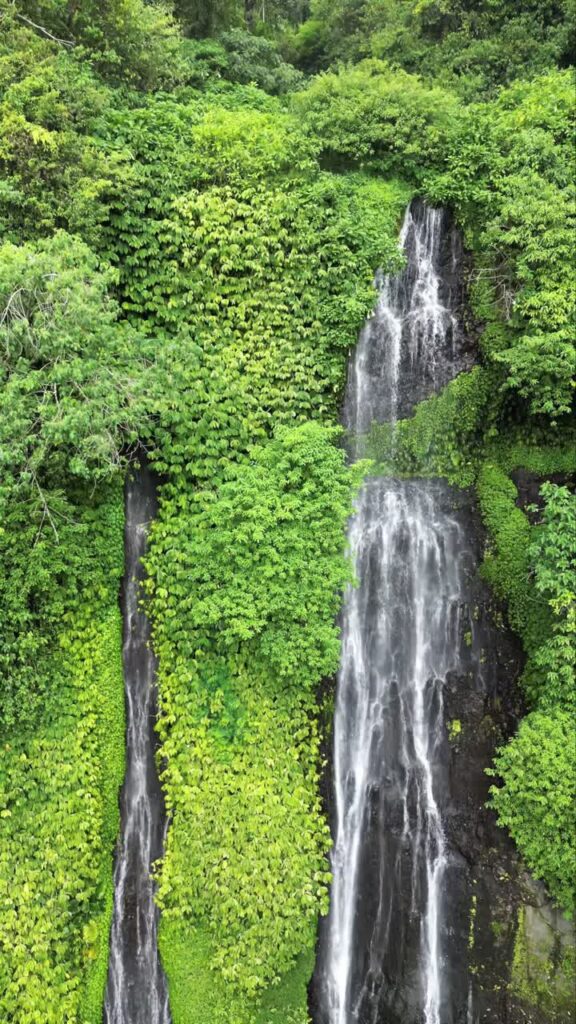 Video - Aerial drone view of multiple cascades at Sekumpul Waterfall in North Bali, Indonesia. Tall white streams flow down steep rainforest cliffs covered in vibrant green vegetation. Vertical