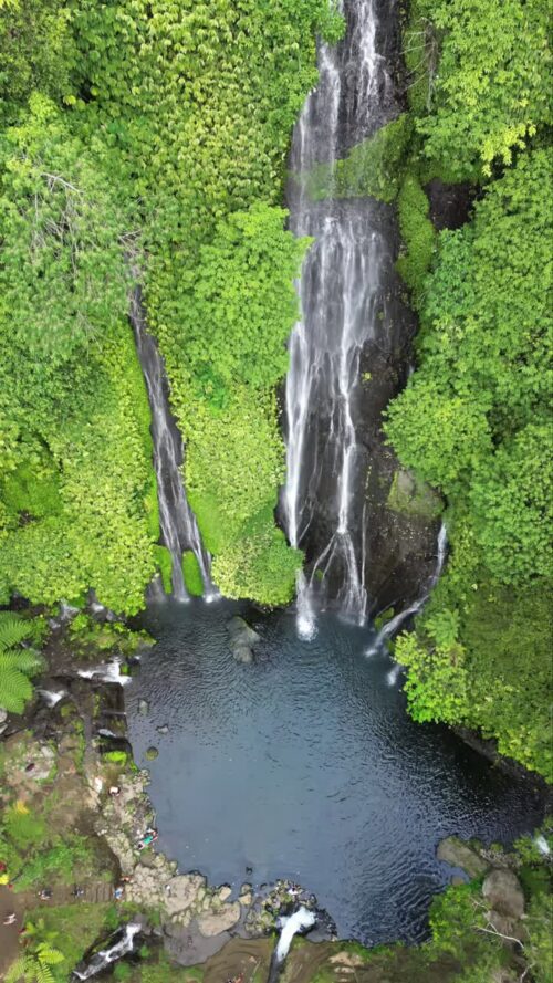 Video - Aerial drone view of Sekumpul Waterfall in Buleleng, North Bali, Indonesia. Twin streams cascade down a towering jungle cliff into a natural rock pool surrounded by dense tropical rainforest. Vertical
