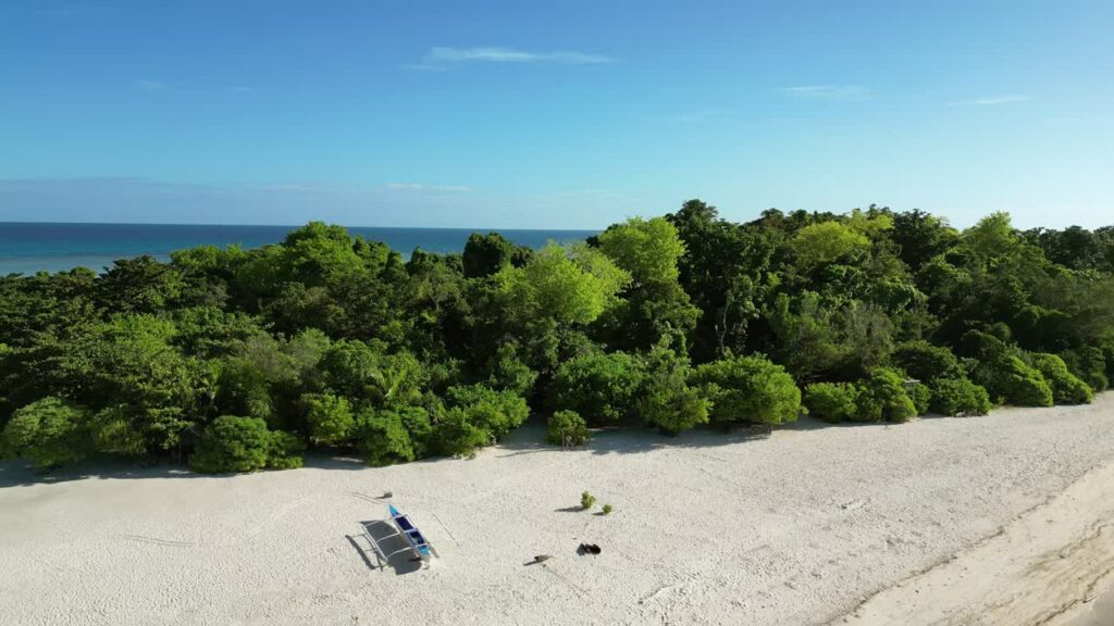 Video - Aerial drone view of Ditaytayan Island in Culion, Palawan. Lush tropical forest rises from a narrow white sandbar extending into shallow emerald waters