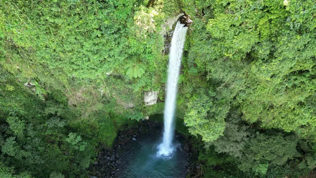 Video - Aerial drone view of Kawasan Falls in Badian, Cebu, Philippines. Tall waterfall cascades into a deep emerald pool surrounded by dense tropical jungle vegetation