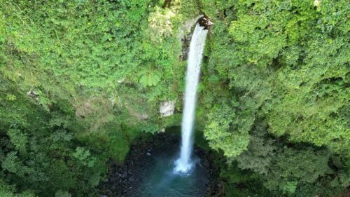 Video - Aerial drone view of Kawasan Falls in Badian, Cebu, Philippines. Tall waterfall cascades into a deep emerald pool surrounded by dense tropical jungle vegetation