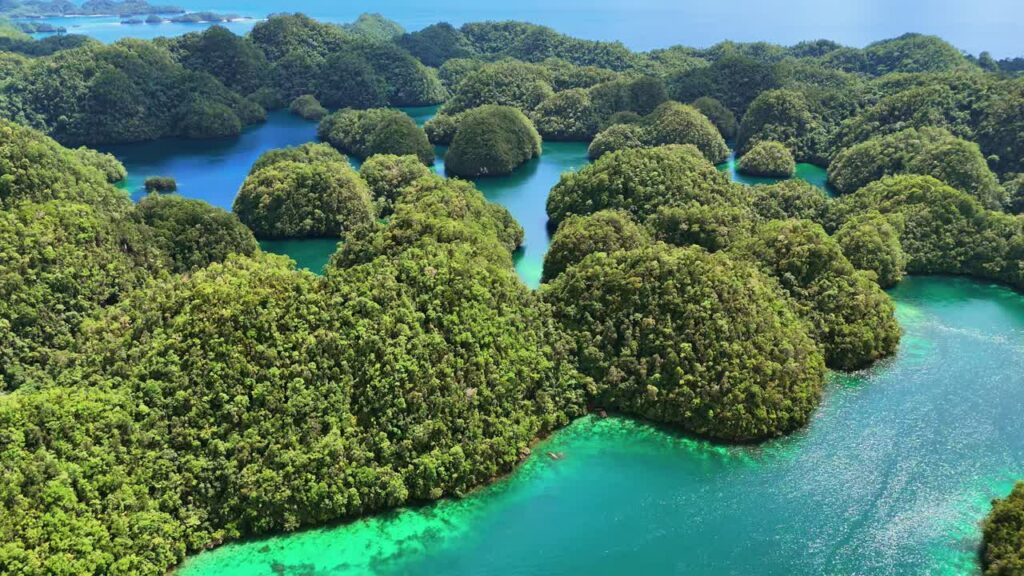 Video - Aerial drone view of the limestone islets and emerald lagoons of Coron Island, Palawan, Philippines. Dense tropical vegetation covers rounded karst formations surrounded by bright turquoise waters and coral reefs