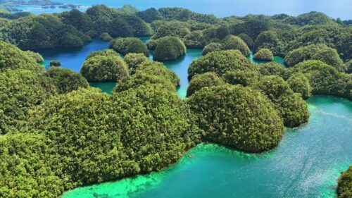 Video - Aerial drone view of the limestone islets and emerald lagoons of Coron Island, Palawan, Philippines. Dense tropical vegetation covers rounded karst formations surrounded by bright turquoise waters and coral reefs