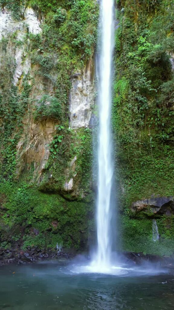 Video - Aerial drone view of a beautiful waterfall flowing down a lush tropical cliff into a clear natural pool surrounded by rainforest vegetation in the Philippines. Vertical
