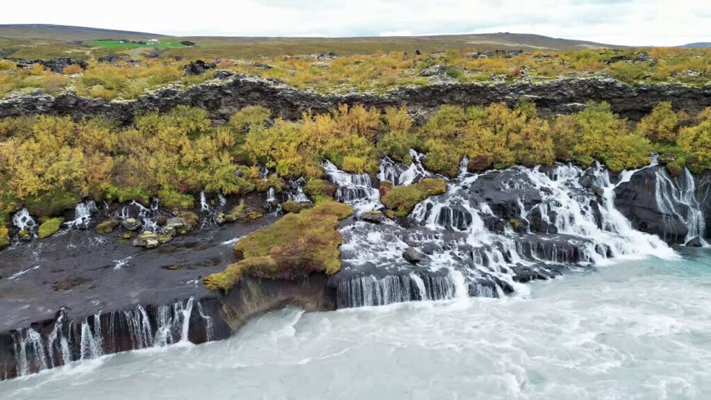 Video - Aerial drone view of rocky ledges of Hraunfossar, capturing water flowing through volcanic lava formations before dropping into the turquoise river below
