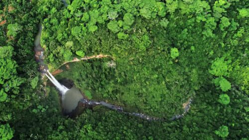 Video - Aerial drone view of a small waterfall flowing through dense tropical rainforest, surrounded by lush green vegetation and a winding river cutting through the jungle landscape