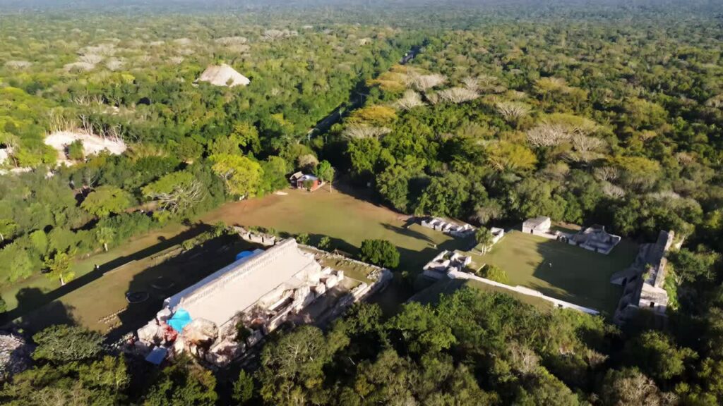 Video - Aerial drone view over ancient Mayan temple structures hidden within dense rainforest at Palenque, one of Mexico's most important archaeological sites