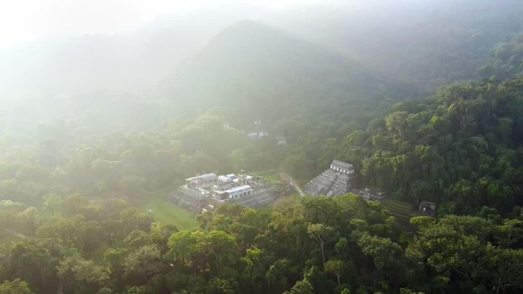 Video - Aerial drone view of Palenque Mayan ruins featuring ancient pyramids and temples surrounded by tropical jungle in southern Mexico