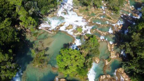 Video - Aerial drone view multiple turquoise waterfalls and natural pools surrounded by dense tropical forest at Agua Azul in southern Mexico
