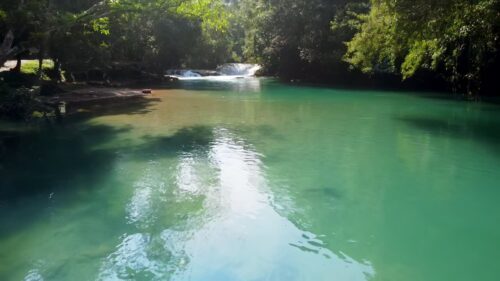 Video - Aerial drone view of clear turquoise natural pool and small waterfall flowing through tropical jungle surrounded by lush vegetation in a peaceful rainforest environment