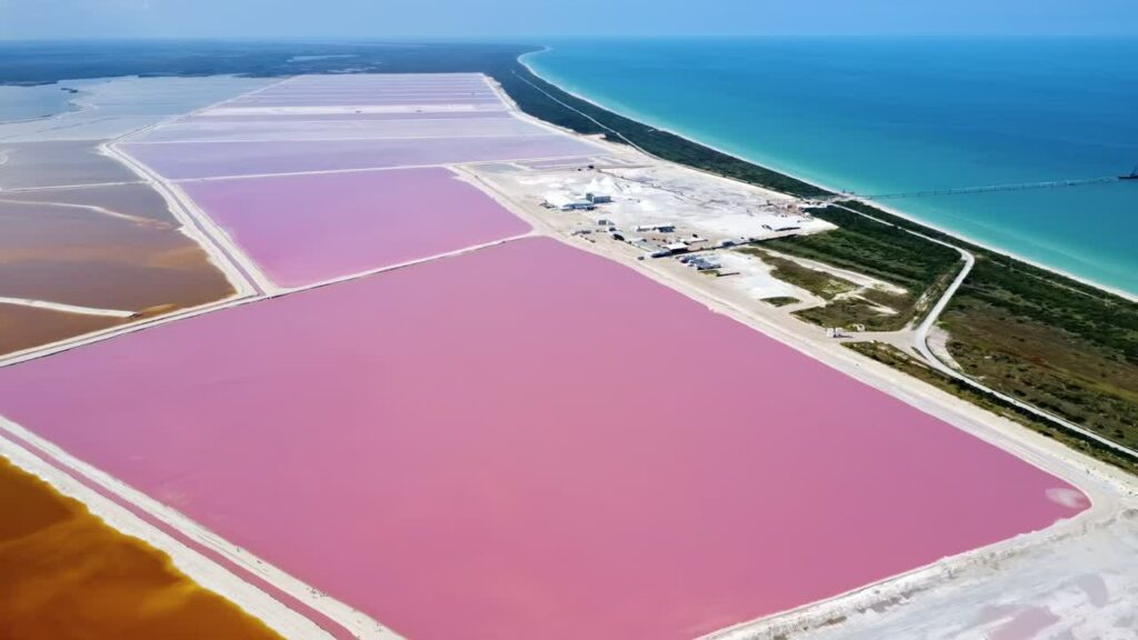Video - Aerial drone view of Las Coloradas pink salt lakes on the Yucatan Peninsula, Mexico, showing geometric salt evaporation ponds with vivid pink water near the Caribbean coastlin