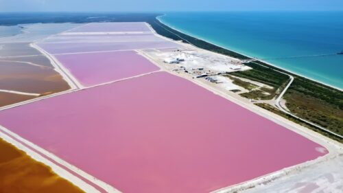 Video - Aerial drone view of Las Coloradas pink salt lakes on the Yucatan Peninsula, Mexico, showing geometric salt evaporation ponds with vivid pink water near the Caribbean coastlin