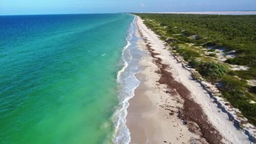 Video - Aerial drone view of long white sandy beach with turquoise Caribbean Sea and coastal vegetation along the Yucatan Peninsula shoreline