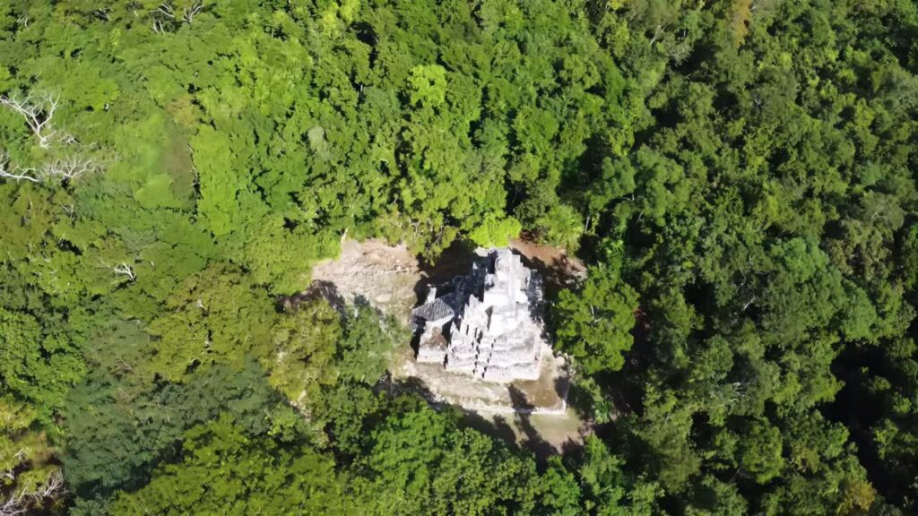 Video - Aerial drone view of ancient Mayan ruins hidden in dense tropical jungle landscape in Mexic