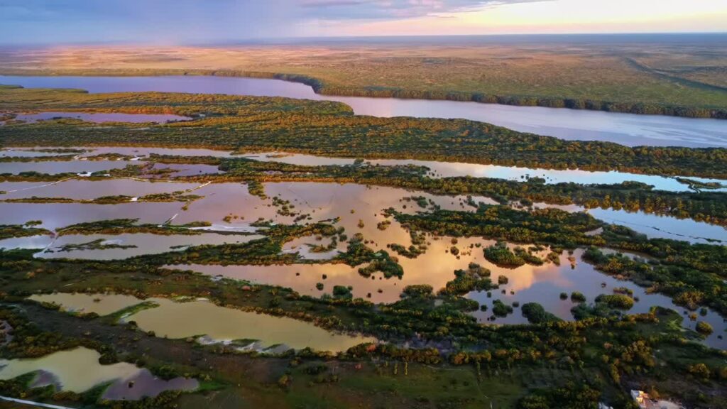 Video - Aerial drone view of vast coastal wetlands with winding water channels and marshland vegetation reflecting sunset light in the Yucatan Peninsula, Mexico