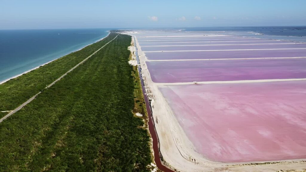 Video - Aerial drone view of Las Coloradas pink salt evaporation ponds stretching along the coastline of the Yucatan Peninsula near the Caribbean Sea