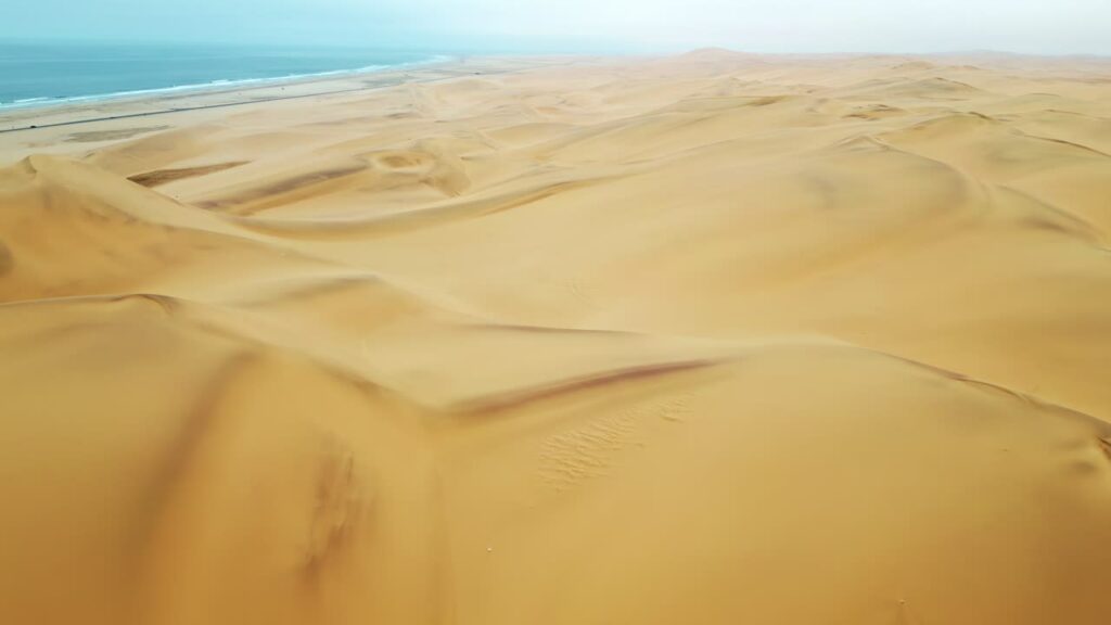 Video - Aerial drone view of golden sand dunes of the Namib Desert with tire tracks crossing the dunes and the Atlantic Ocean visible in the distance