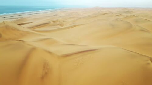 Video - Aerial drone view of golden sand dunes of the Namib Desert with tire tracks crossing the dunes and the Atlantic Ocean visible in the distance
