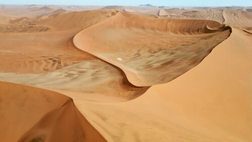 Video - Aerial drone view of sweeping sand dune formations in the Namib Desert showing elegant curves and wind shaped patterns across the landscape